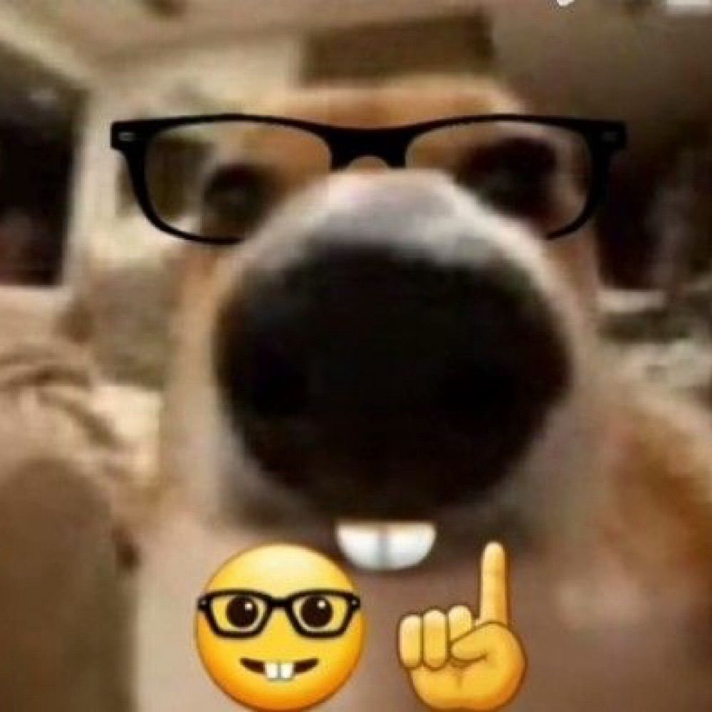 gab ✠