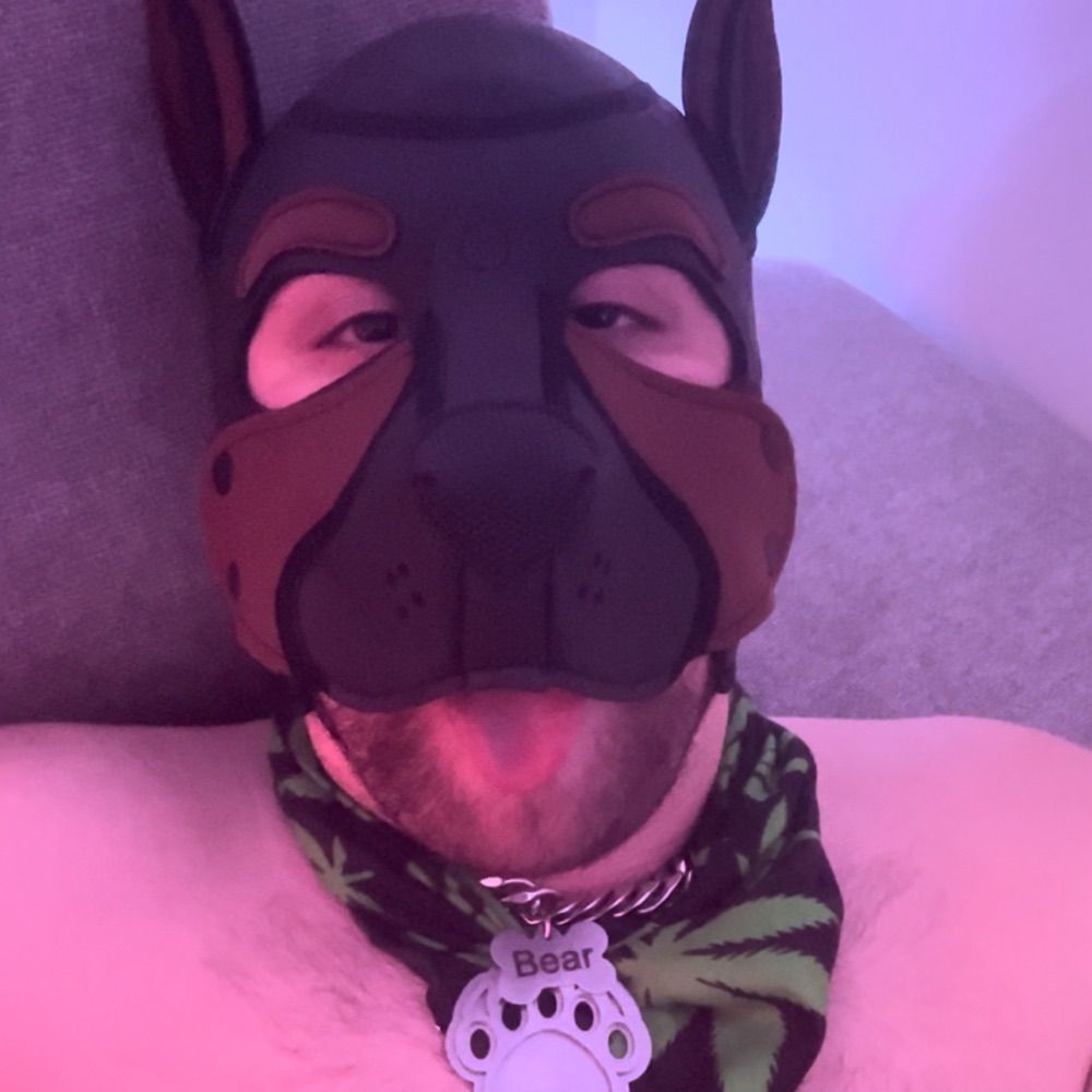 Profile picture bearpupbear.bsky.social