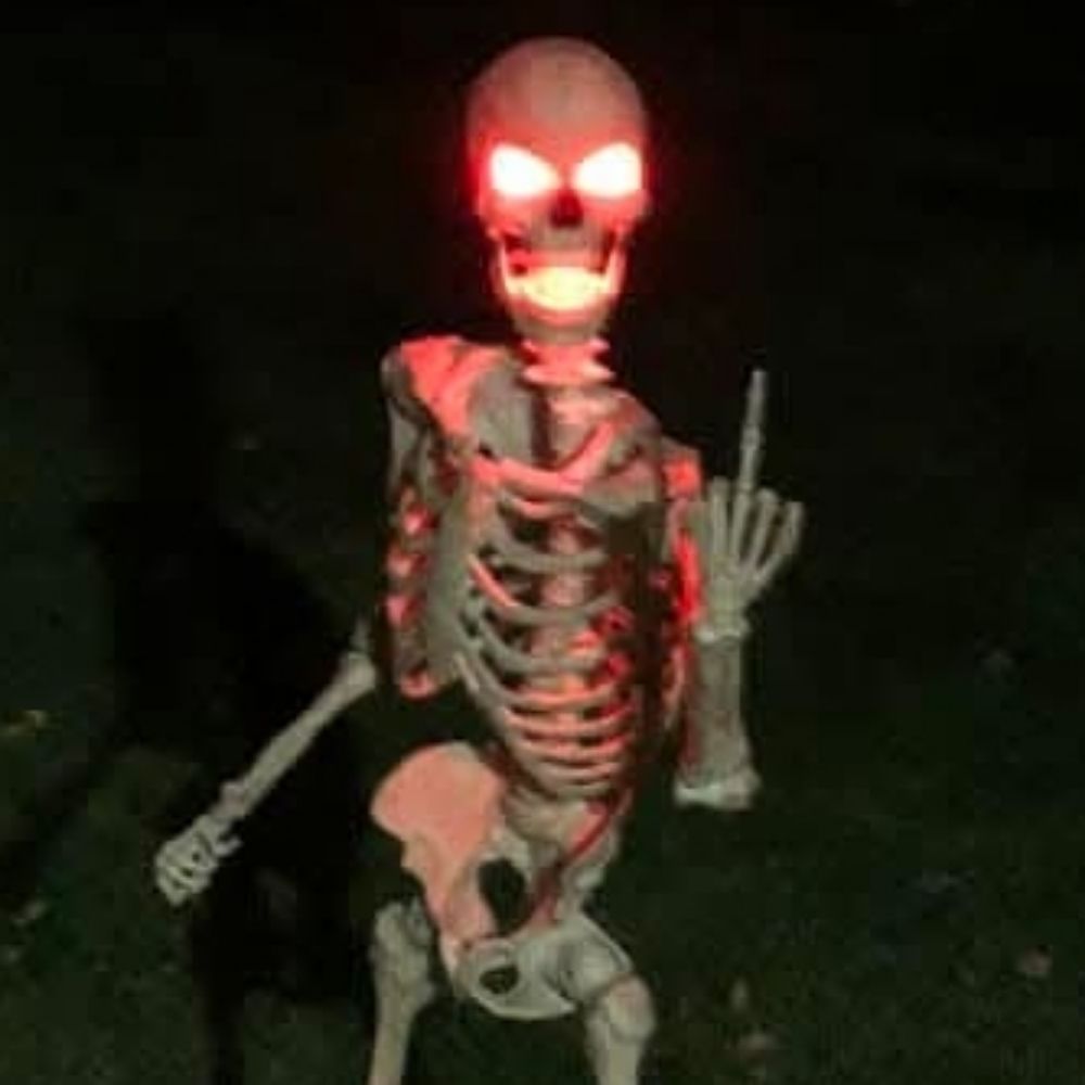 Mr. Bones Zone