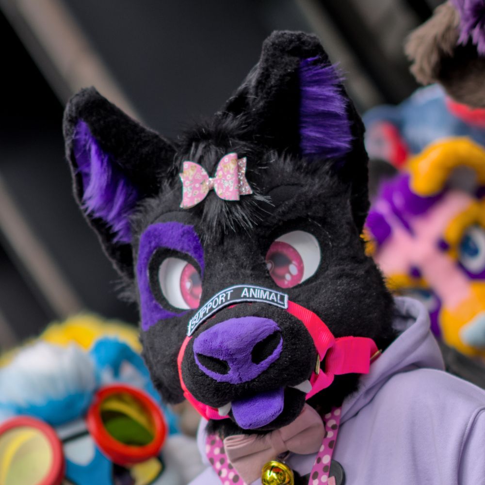 Tyler Wolfdog