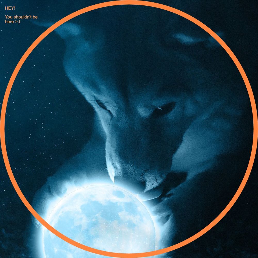 Varkorax | Probably Asleep