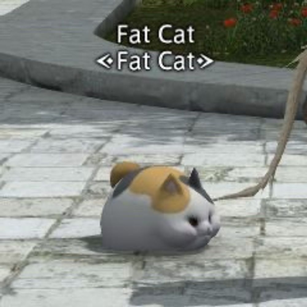朱璃