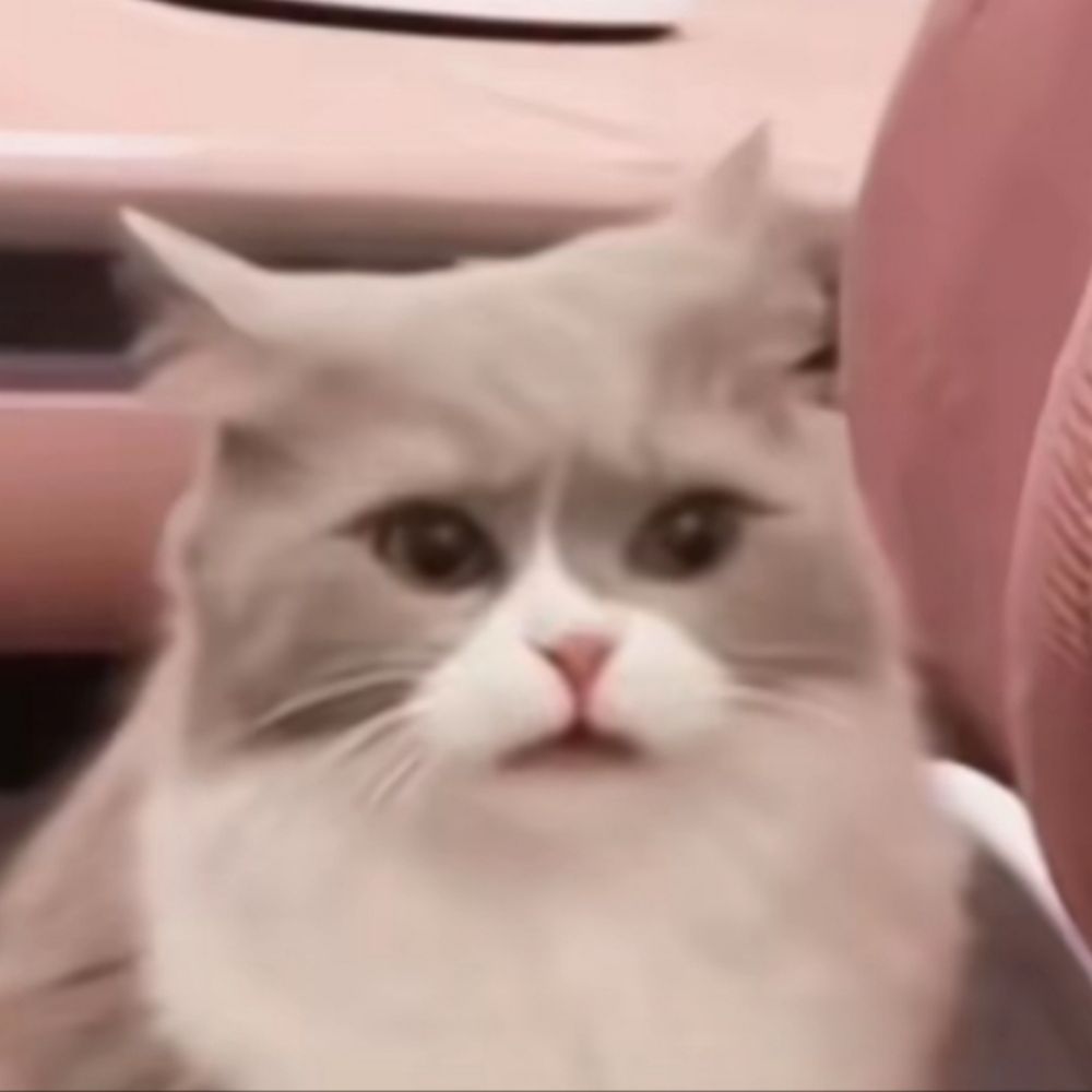 看不见我