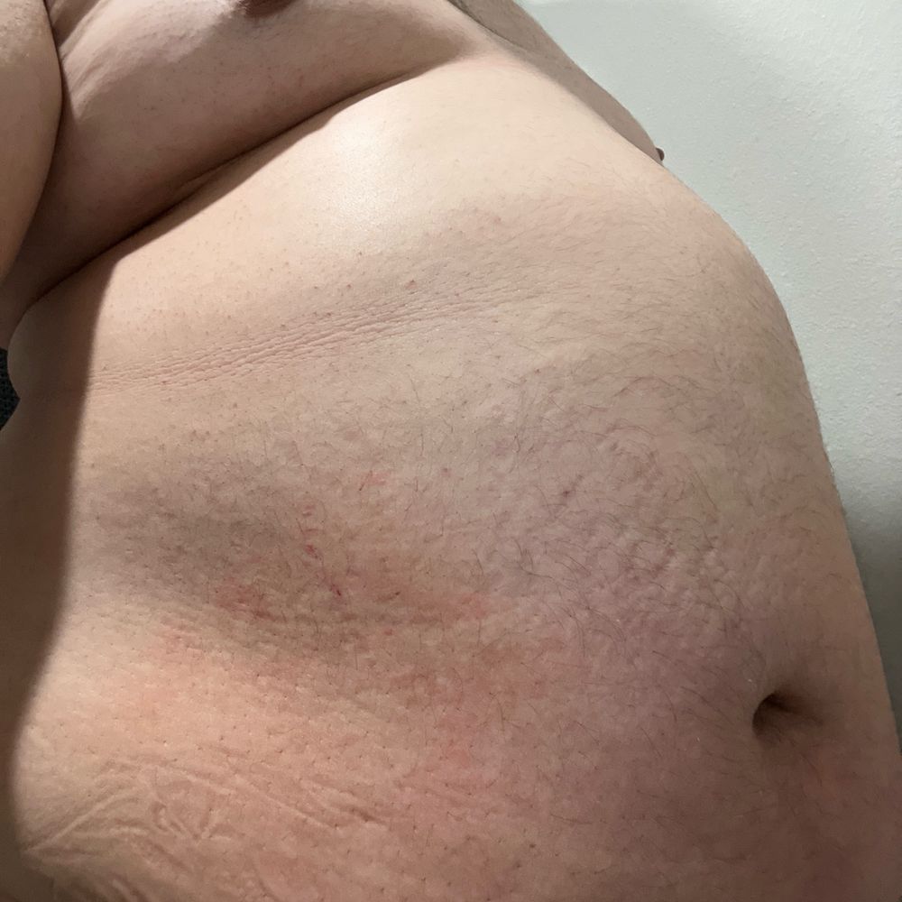Chub_bear