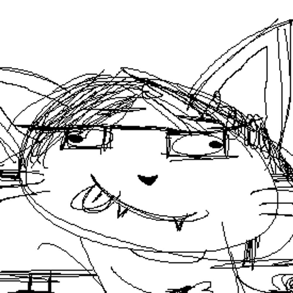 dumb cat