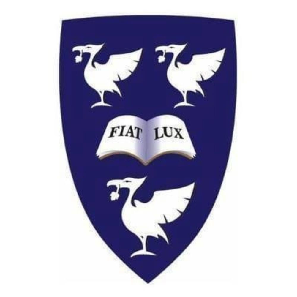 Heseltine Institute for Public Policy, Practice and Place