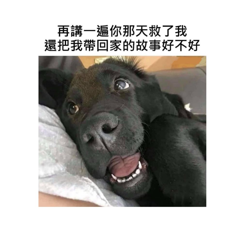 小犬
