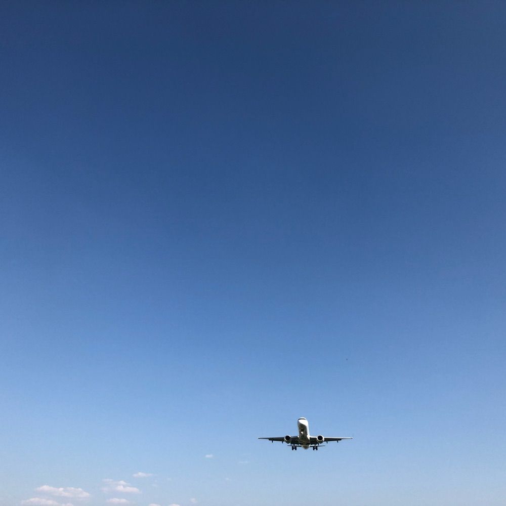 まっすー