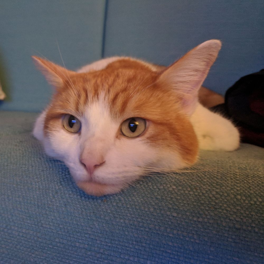 KevB
