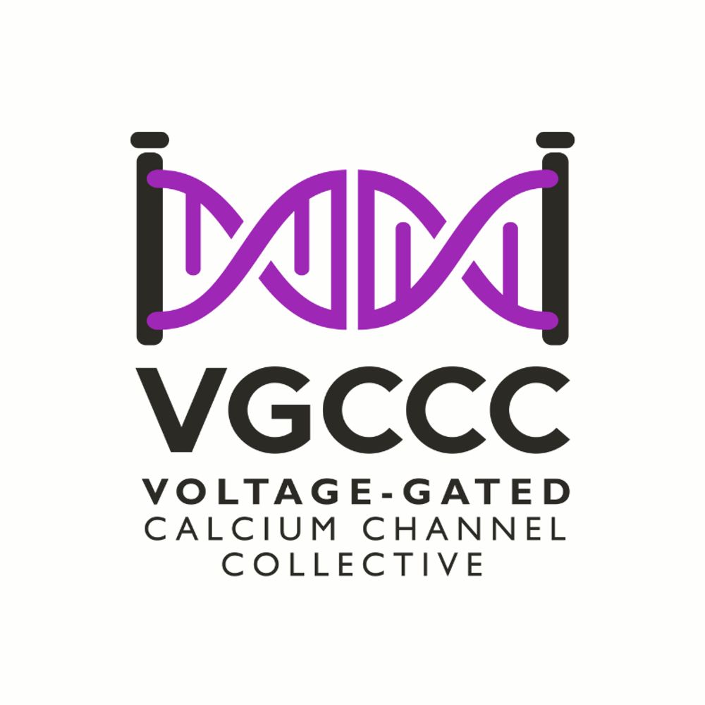 The Voltage-Gated Calcium Channel Collective
