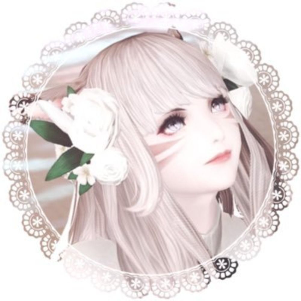 𝙼𝚘𝚖𝚘 𝙱𝚕𝚊𝚗𝚌𝚑𝚎✧︎*。