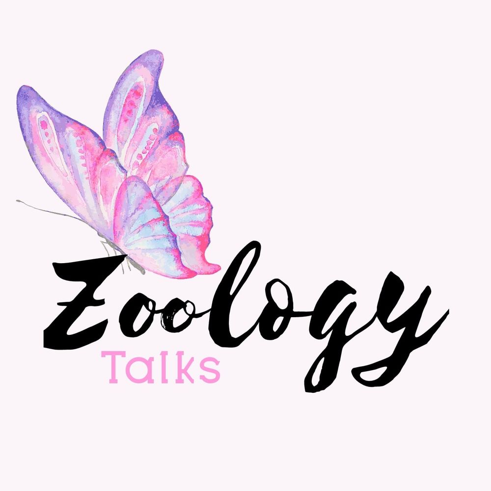 Zoologytalks