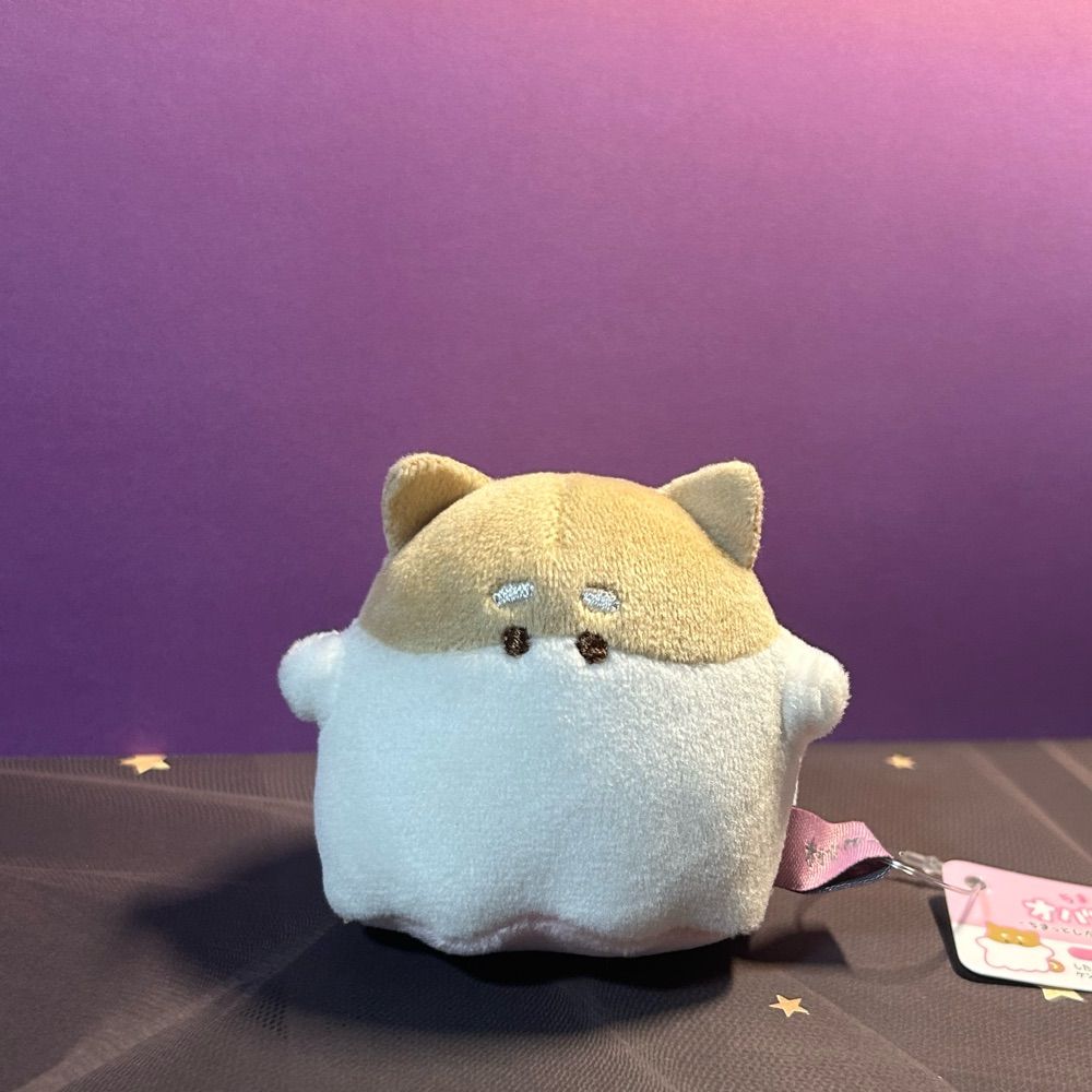 🐕シバ👻