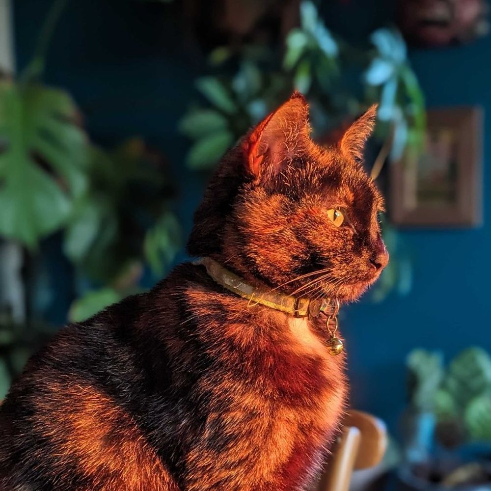 Gros Lulu
