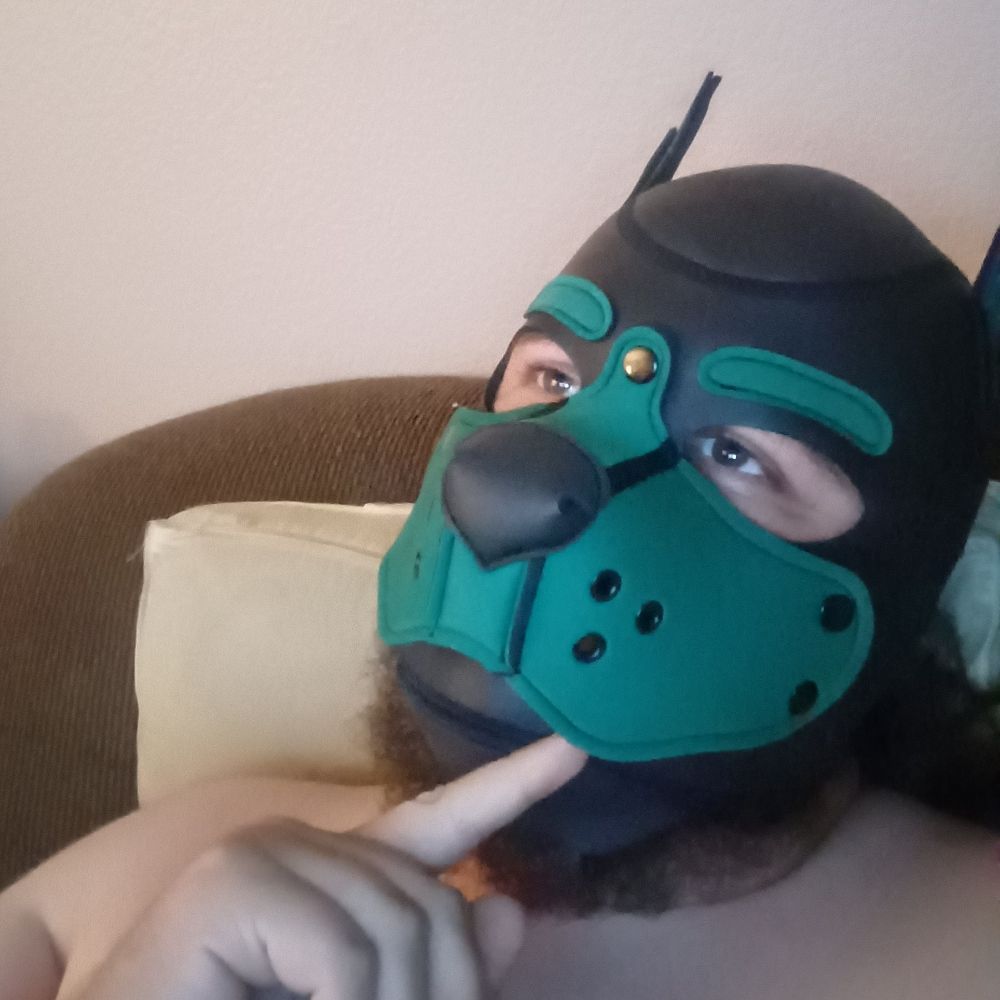 Pup Chip