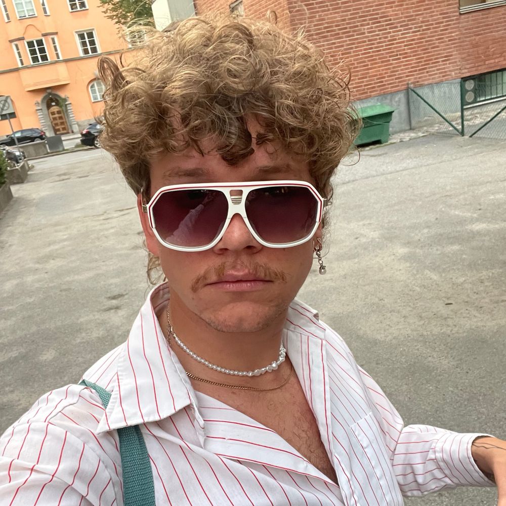 PÄLSEN