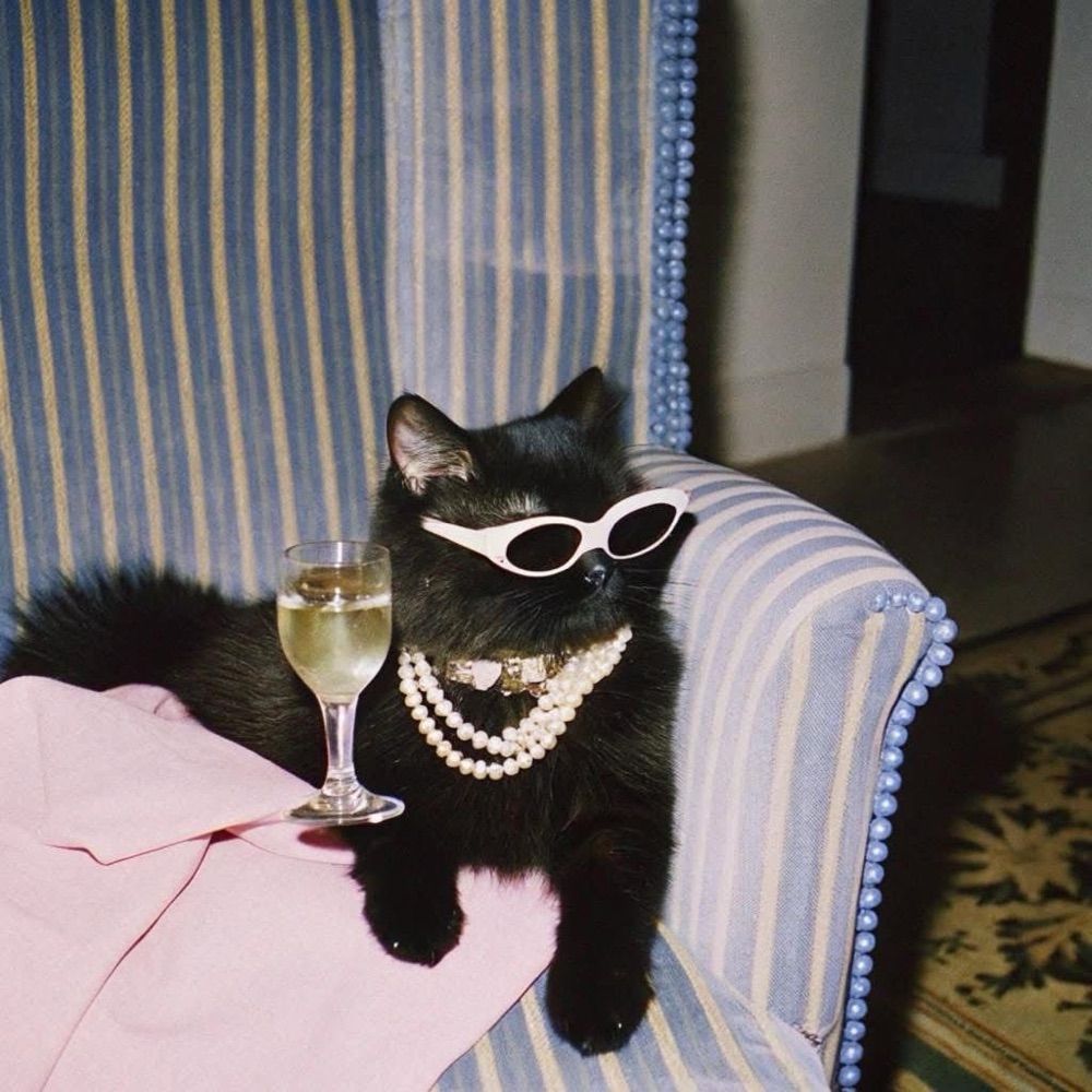 dem