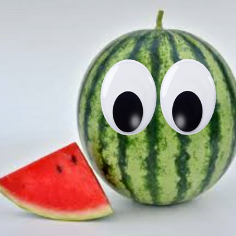 GeneralMelon