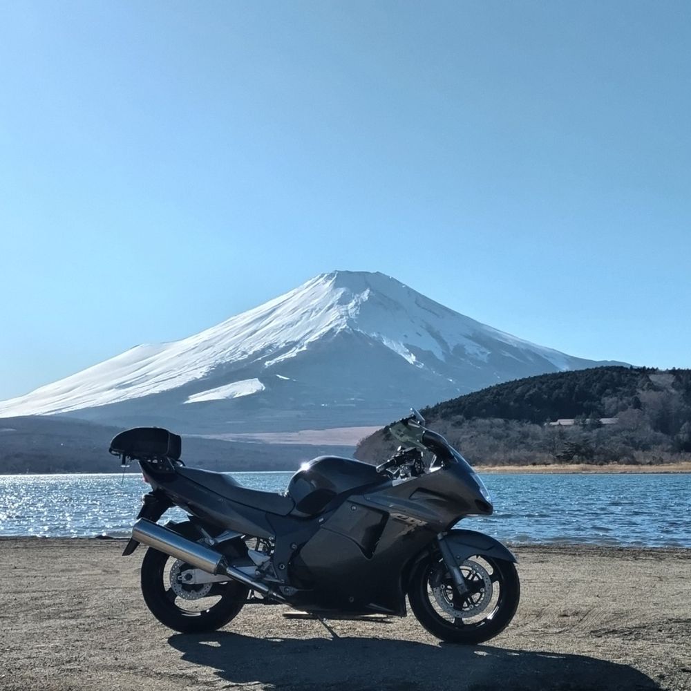 陰チタン