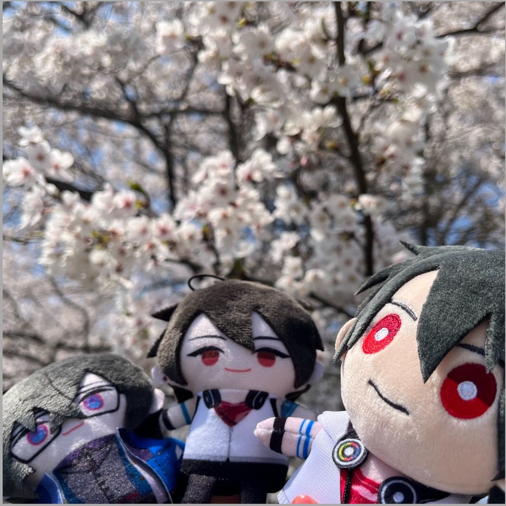 怜華🎤📄👑🌱