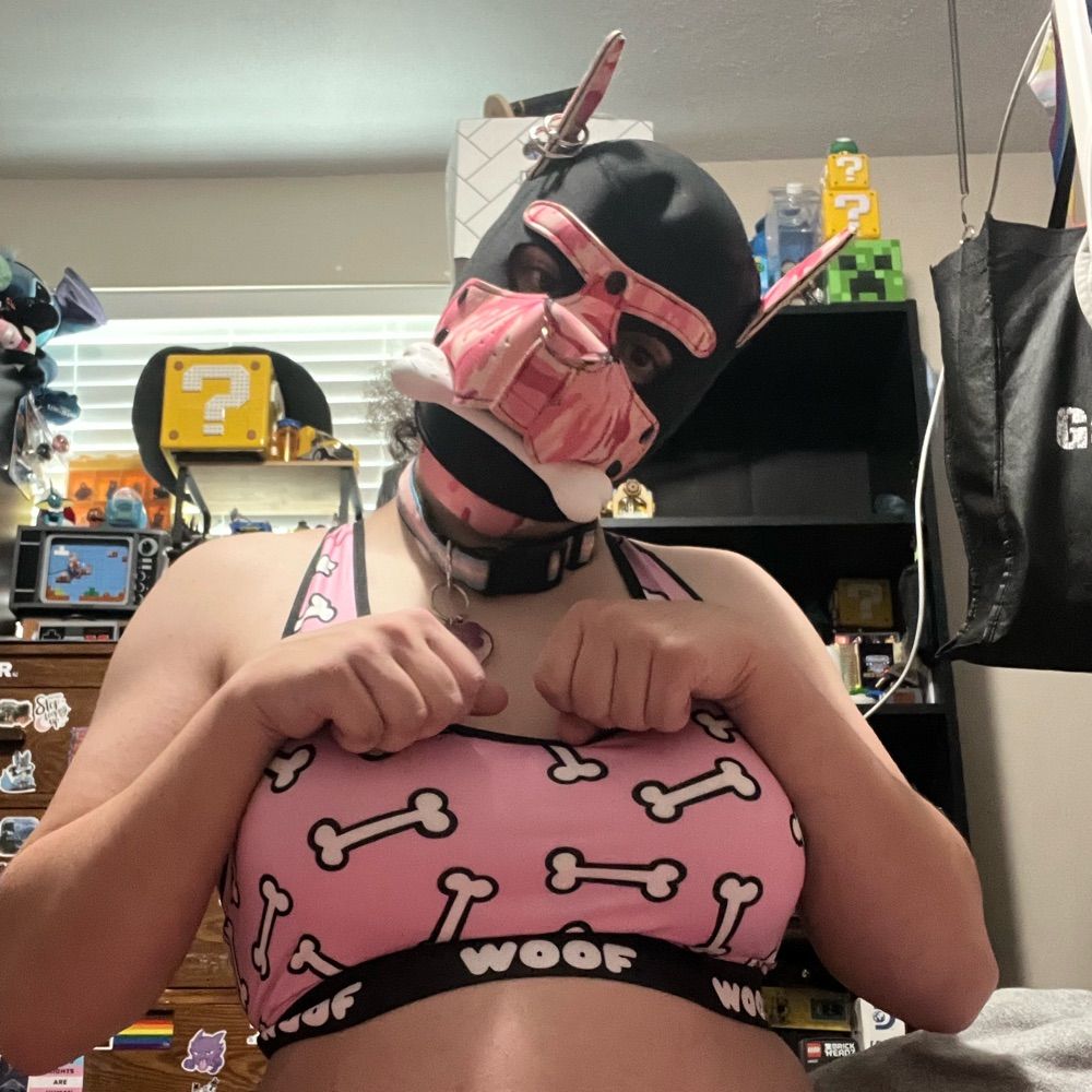 hungtransgirl.bsky.social profile picture