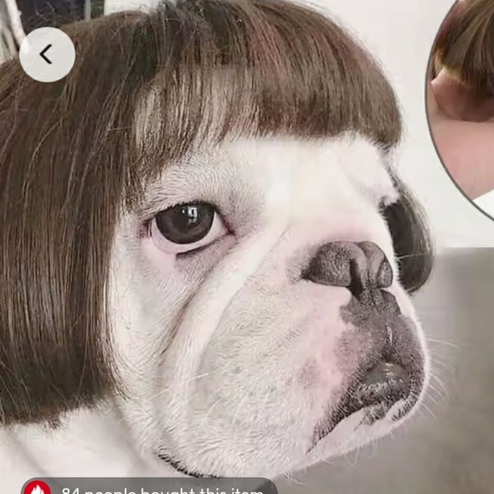 Paul