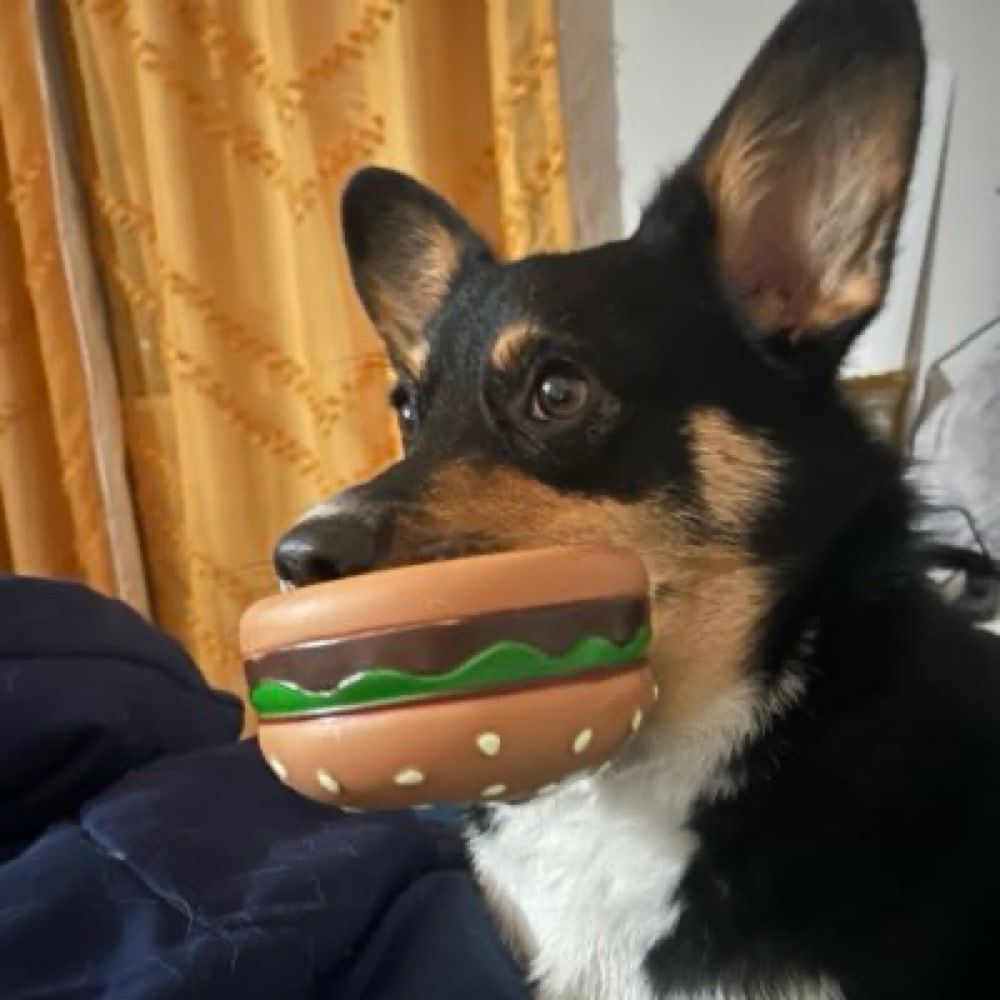 Jeff