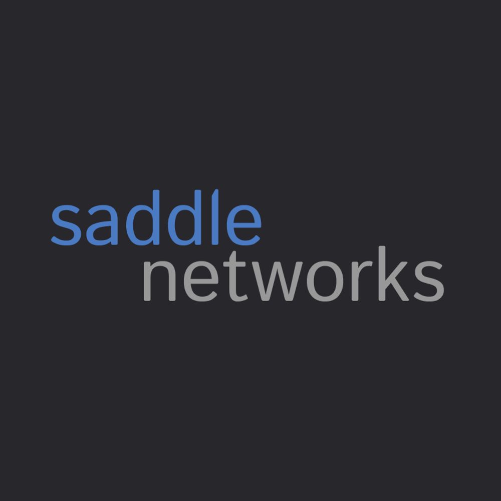 Saddle Networks