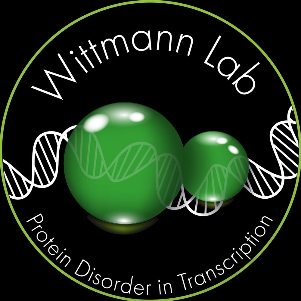 Wittmann Lab