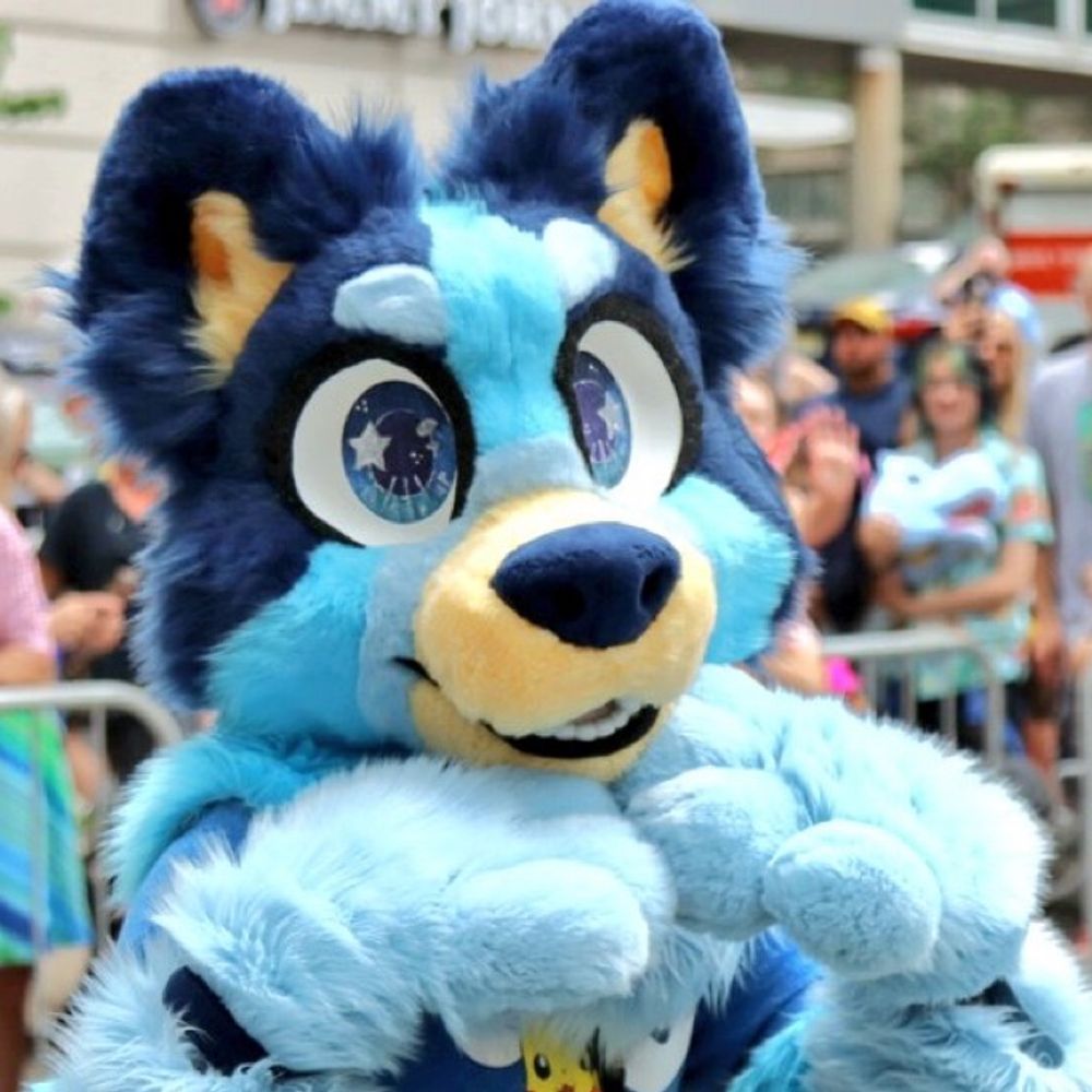 ThatBlueyHeeler