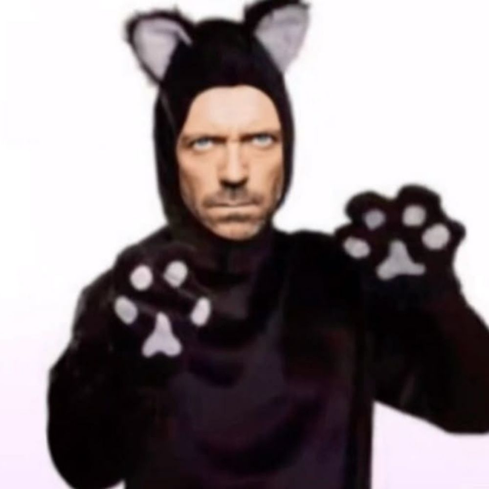 Calcinha de renda do Dr House