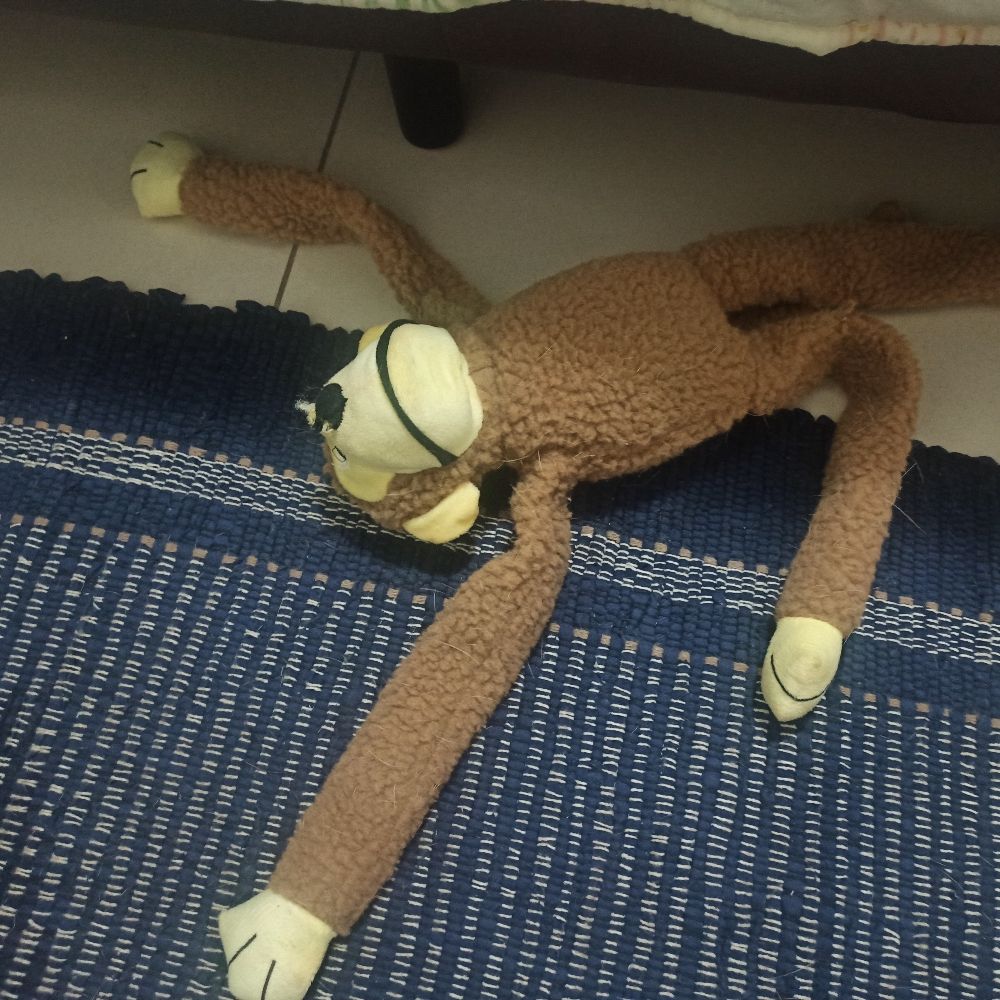 Teteu 