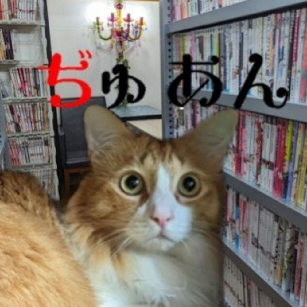 BL漫画喫茶ぢゅあん