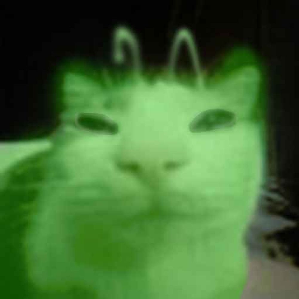 oli