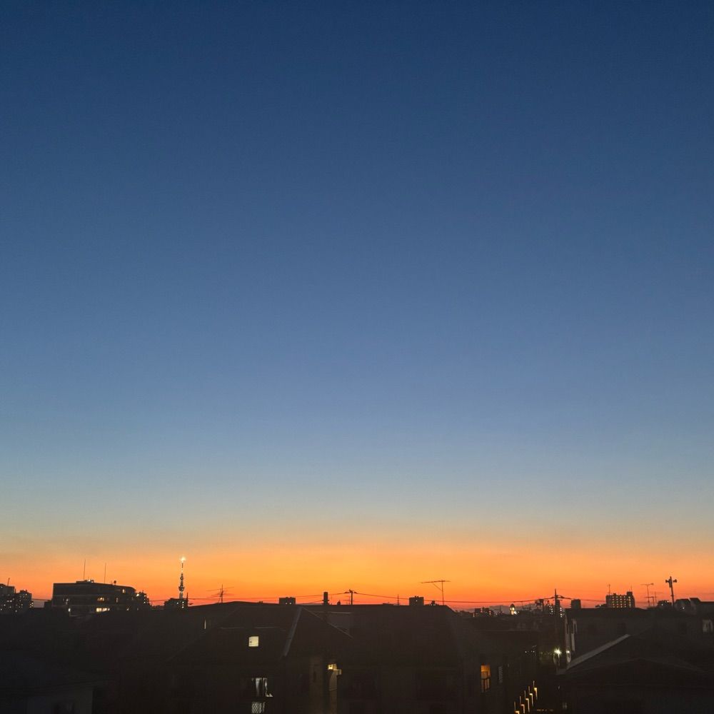刺身