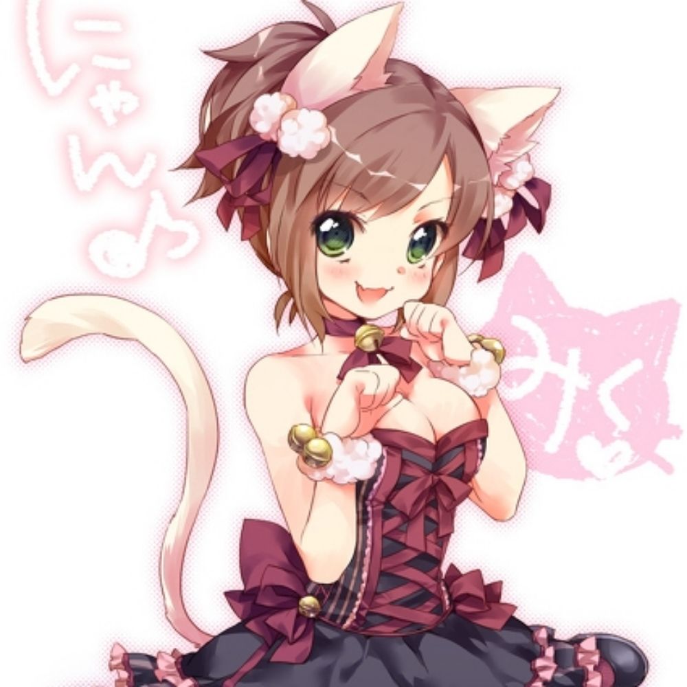 😘🐾猫にゃ 😻🎀💘