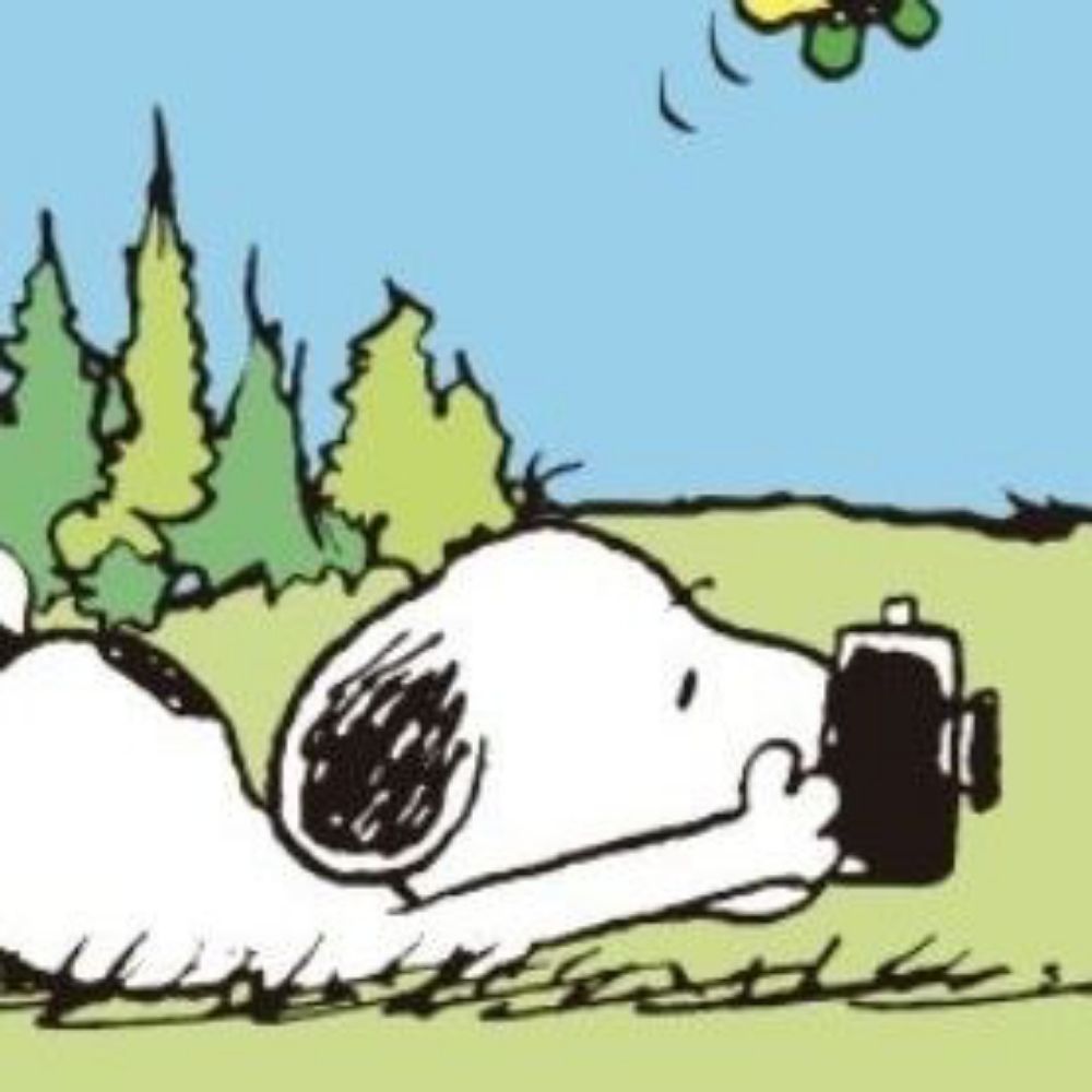 Jooj