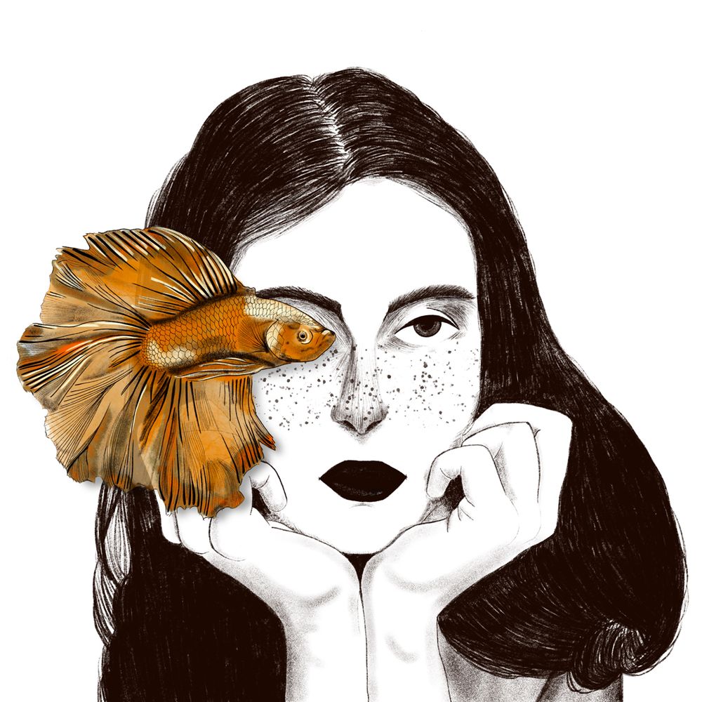 Original Vectors