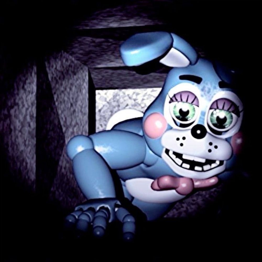 ⵌ ; 𝗕𝟎𝗡𝗡𝐈𝗘 .ᐟ.ᐟ🌀