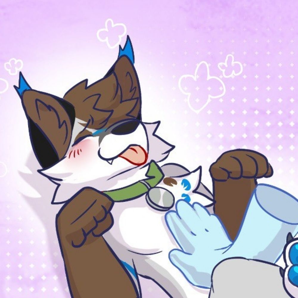Sky Foxxo