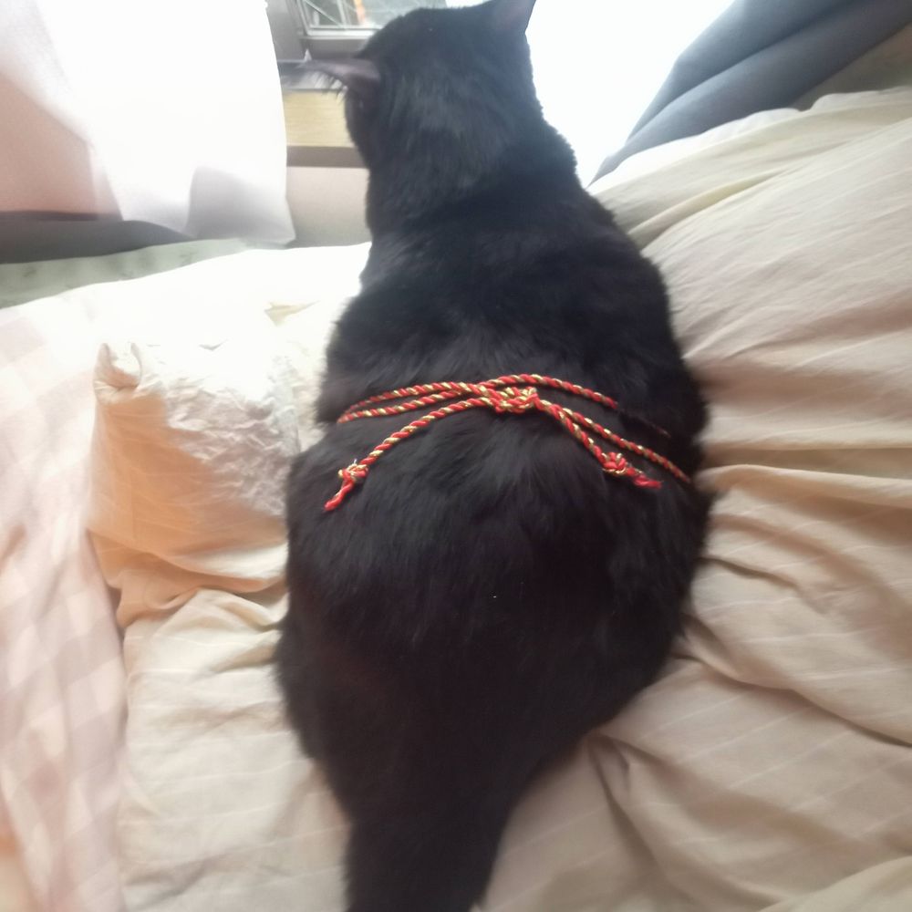 あるてな