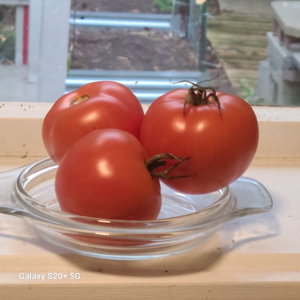 Love Community Garden