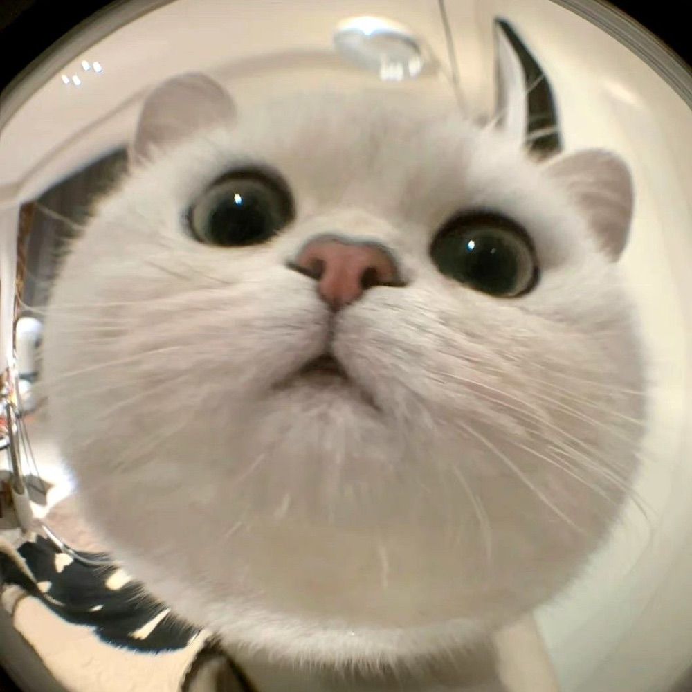 ᯓᡣ𐭩