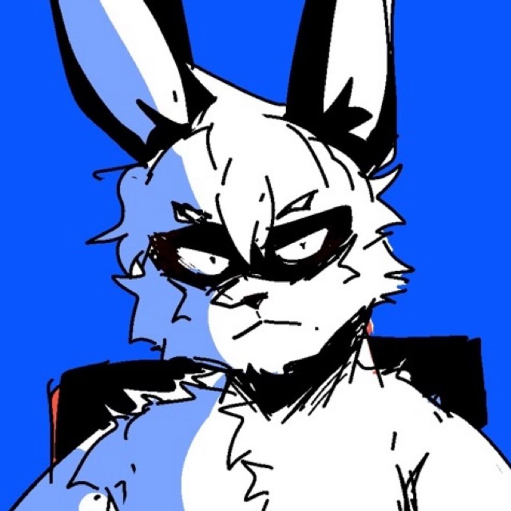 _conejo