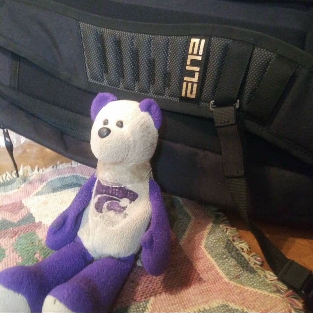 Teddy