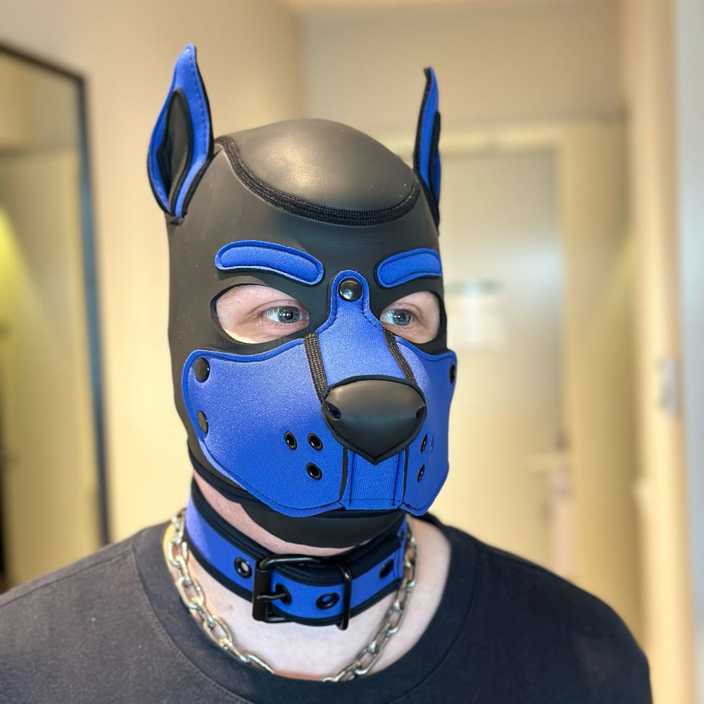 Pupscal