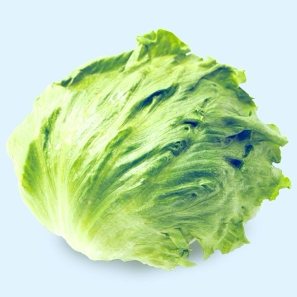 lelelettuce.bsky.social on Bluesky