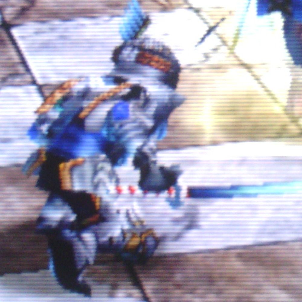 テラクルス_とNSP