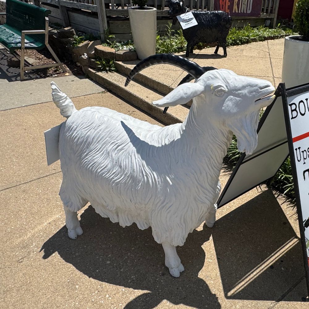 clowery71.bsky.social