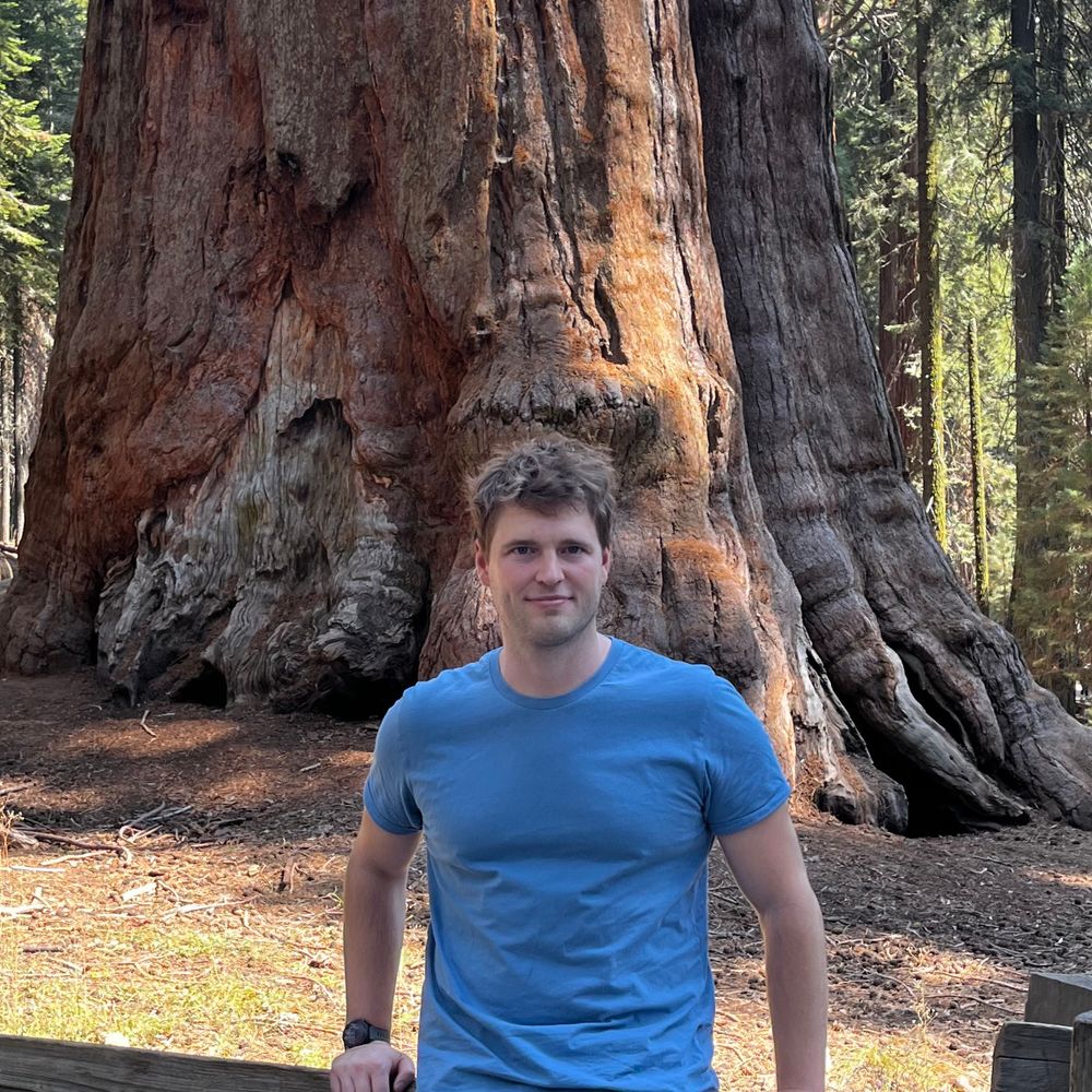 Bellytree